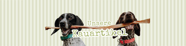 Kauartikel
