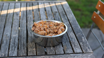 Napf mit Nature's Gold Hundefutter aus hochwertigem Fleisch und ausgewählten Zutaten