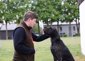 Training, Teamwork & Rinderohren
