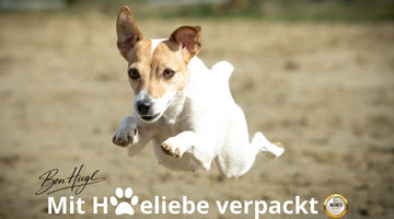Deine Bestellung ist schon im Anflug – mach Dich bereit!