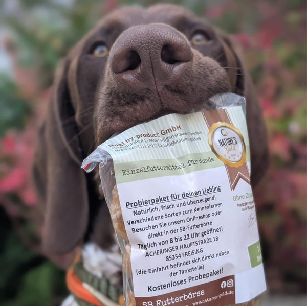 Crunchos – knuspriger Kauartikel für Hunde