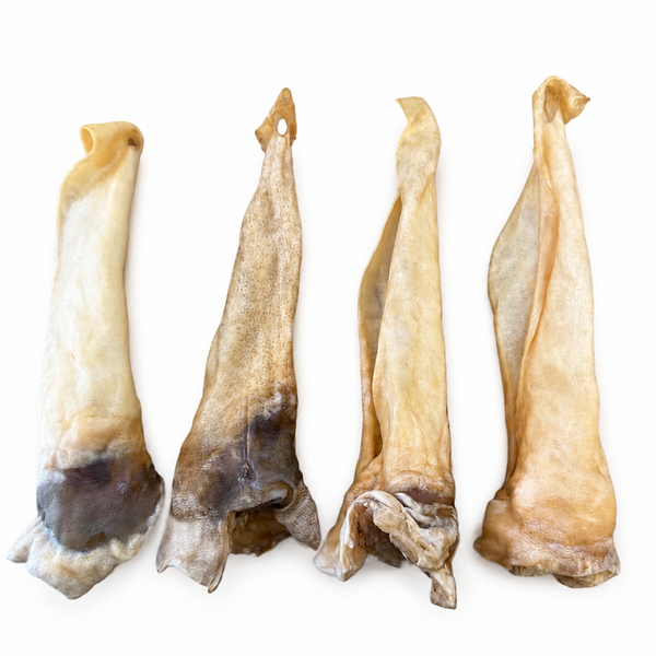 Getrocknete Ziegenohren mit Muschel ohne Fell (Hypoallergen)